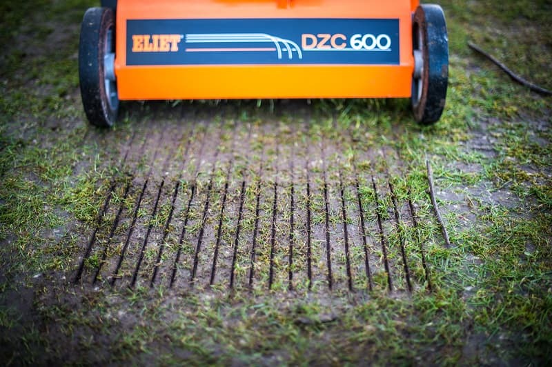 ELIET-DZC600-seed.jpeg