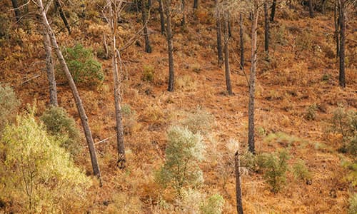 prevention_canycom_2.jpg